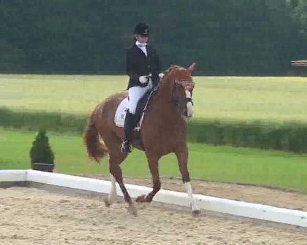 Dressurturnier Brunnthal-Riedhausen 2015