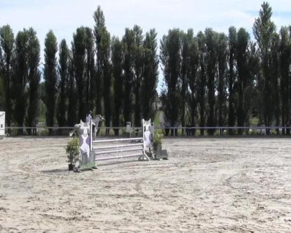 Reit-und Springturnier Dortmund West 2015