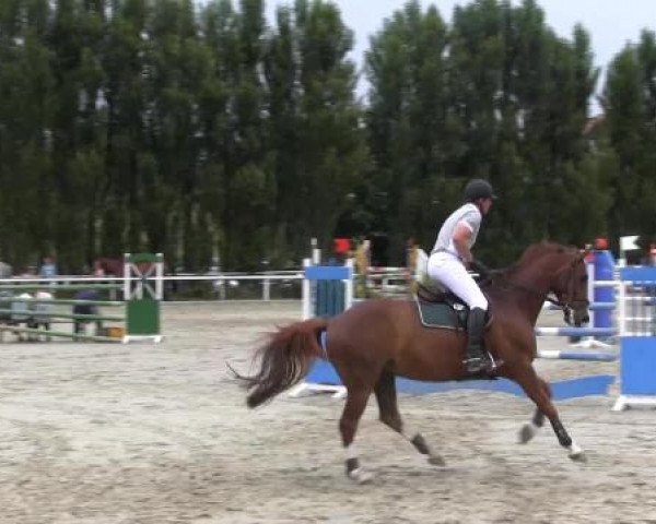 Reit-und Springturnier Dortmund West 2015