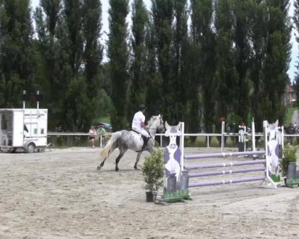 Reit-und Springturnier Dortmund West 2015