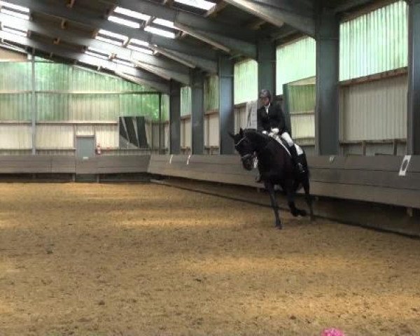 Reit-und Springturnier Dortmund West 2015