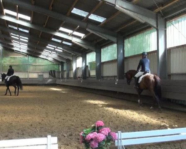 Reit-und Springturnier Dortmund West 2015