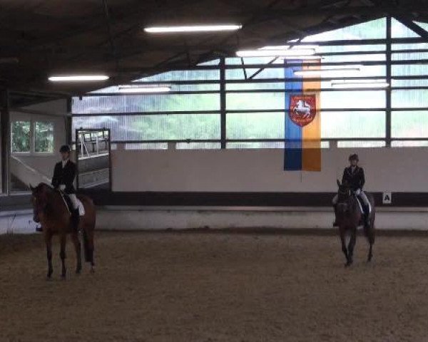 Reit-und Springturnier Dortmund West 2015