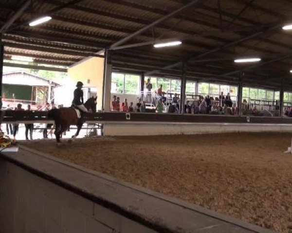 Reit-und Springturnier Dortmund West 2015