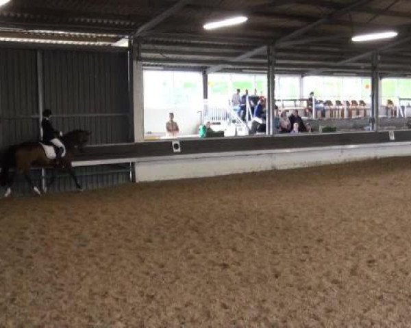 Reit-und Springturnier Dortmund West 2015