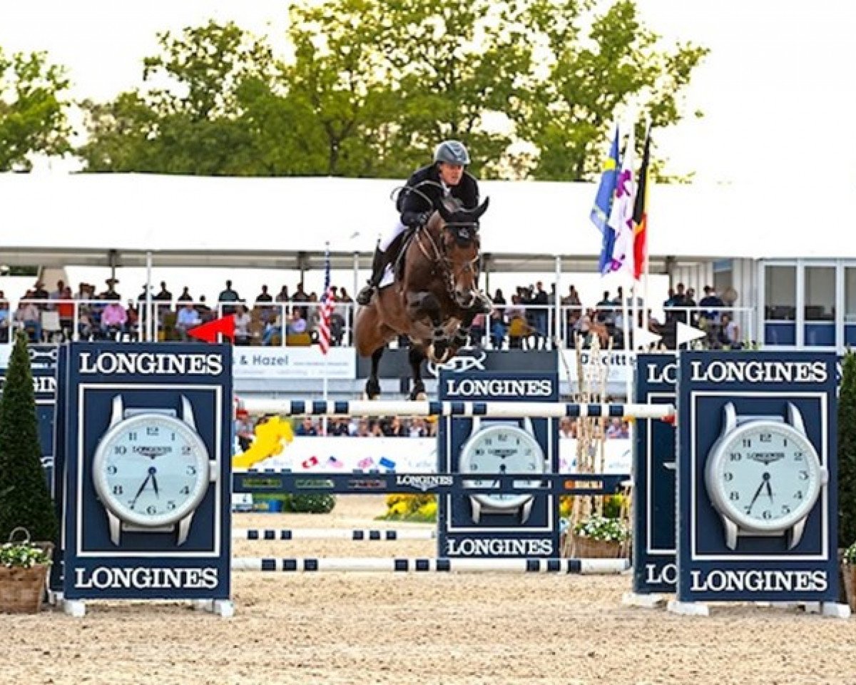 Deckhengst Grandorado TN (KWPN (Niederländisches Warmblut), 2011, von Eldorado van de Zeshoek)