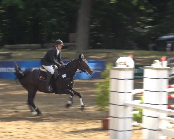 CSN Calvörde 2015