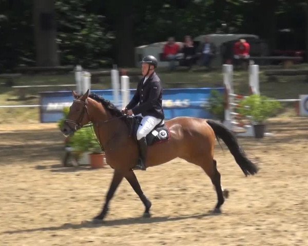 CSN Calvörde 2015