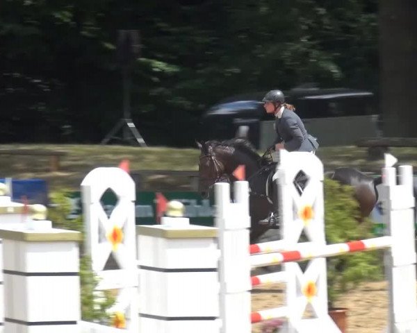 CSN Calvörde 2015