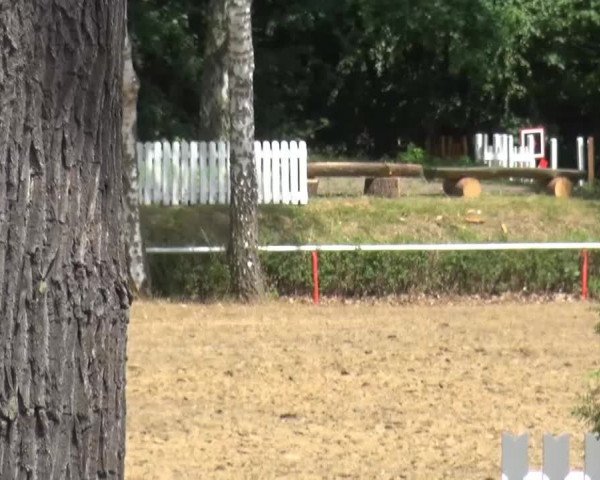 CSN Calvörde 2015