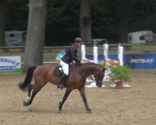 CSN Calvörde 2015