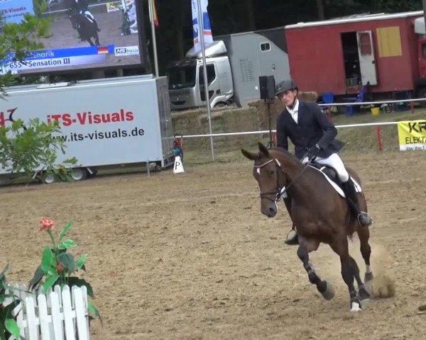 CSN Calvörde 2015