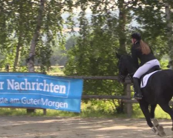 Schwerte - Gut Kückshausen 2015
