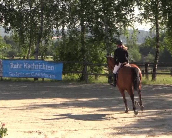Schwerte - Gut Kückshausen 2015