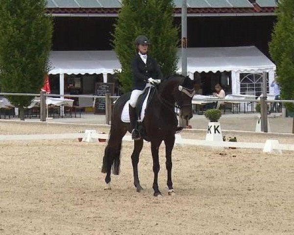Dressurturnier Brunnthal-Riedhausen 2015