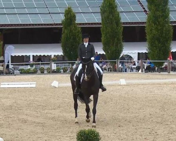 Dressurturnier Brunnthal-Riedhausen 2015