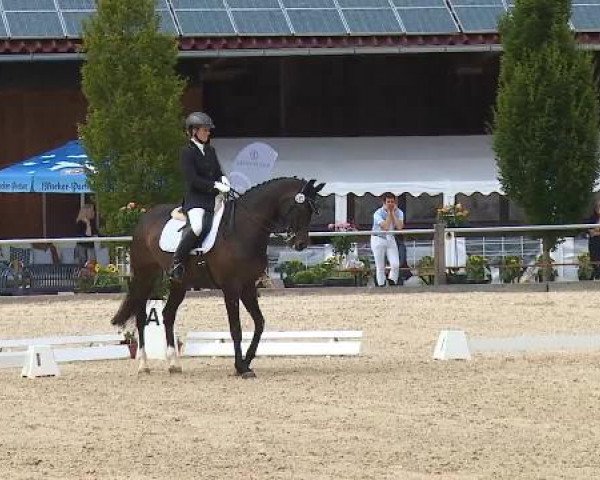 Dressurturnier Brunnthal-Riedhausen 2015
