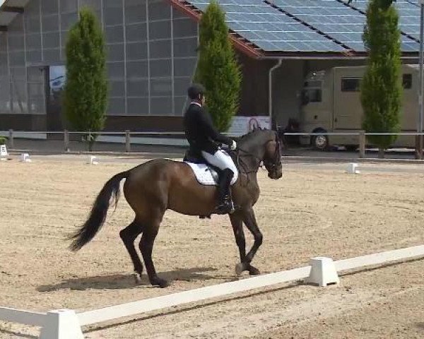 Dressurturnier Brunnthal-Riedhausen 2015