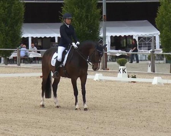 Dressurturnier Brunnthal-Riedhausen 2015
