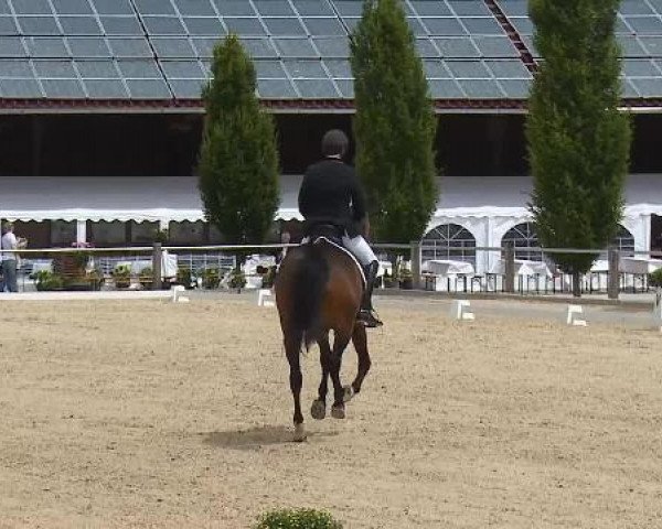 Dressurturnier Brunnthal-Riedhausen 2015