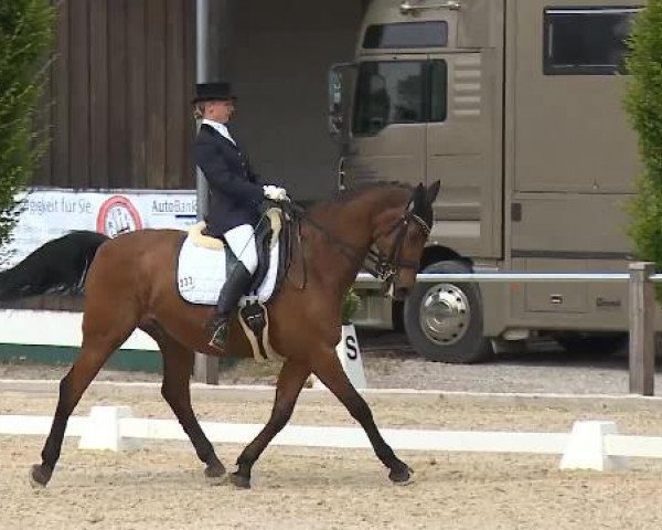 Dressurturnier Brunnthal-Riedhausen 2015