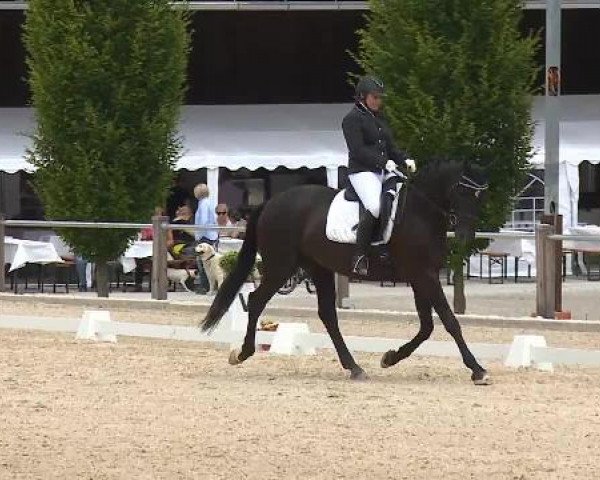 Dressurturnier Brunnthal-Riedhausen 2015