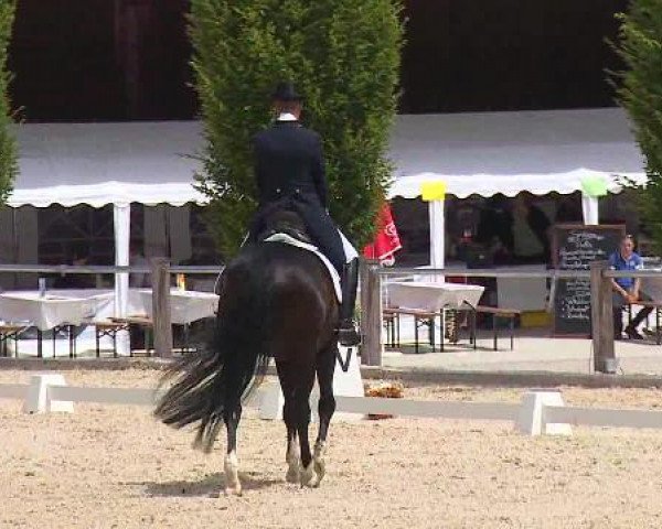 Dressurturnier Brunnthal-Riedhausen 2015