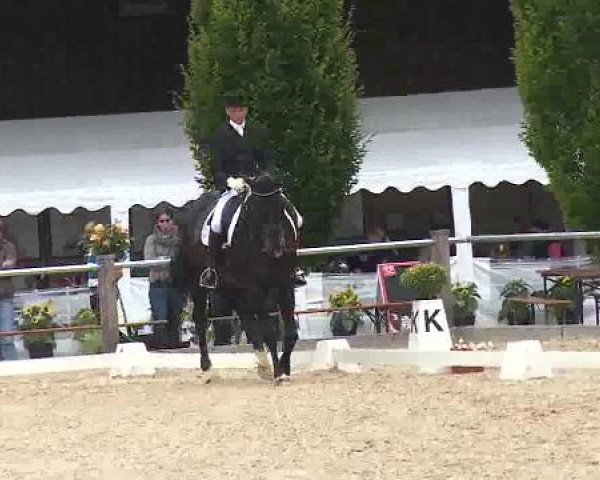 Dressurturnier Brunnthal-Riedhausen 2015