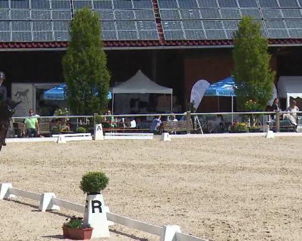 Dressurturnier Brunnthal-Riedhausen 2015