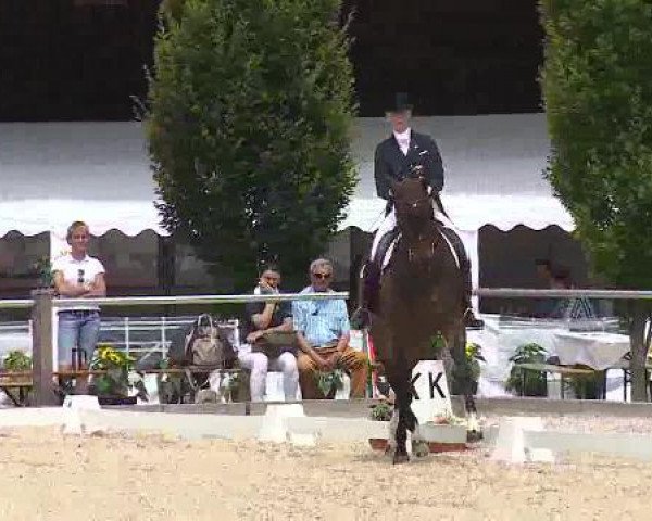 Dressurturnier Brunnthal-Riedhausen 2015
