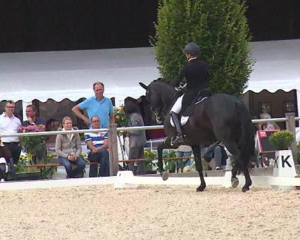 Dressurturnier Brunnthal-Riedhausen 2015