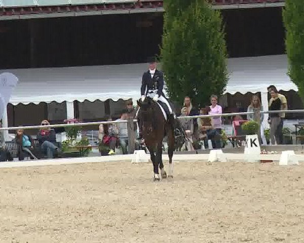 Dressurturnier Brunnthal-Riedhausen 2015