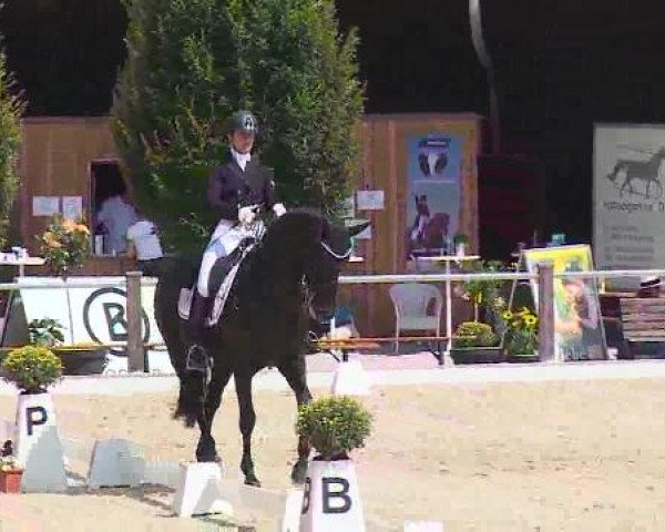 Dressurturnier Brunnthal-Riedhausen 2015