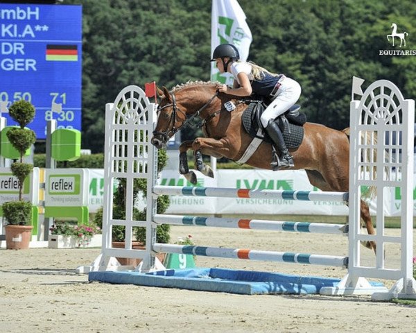broodmare Golden Surprise DH (German Riding Pony, 2014, from Best August)