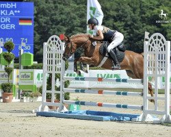 broodmare Golden Surprise DH (German Riding Pony, 2014, from Best August)