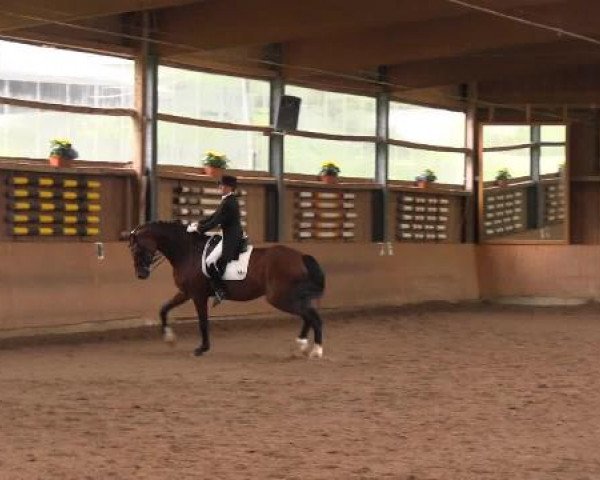 Schwerte - Gut Kückshausen 2015