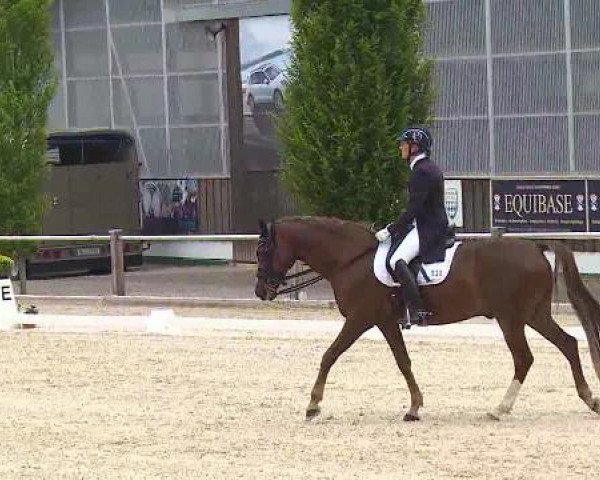 Dressurturnier Brunnthal-Riedhausen 2015
