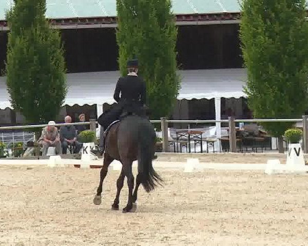 Dressurturnier Brunnthal-Riedhausen 2015