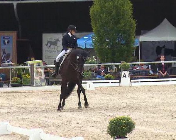 Dressurturnier Brunnthal-Riedhausen 2015