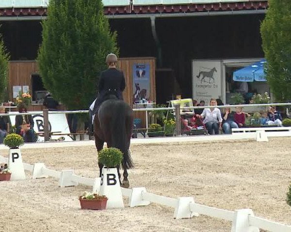Dressurturnier Brunnthal-Riedhausen 2015