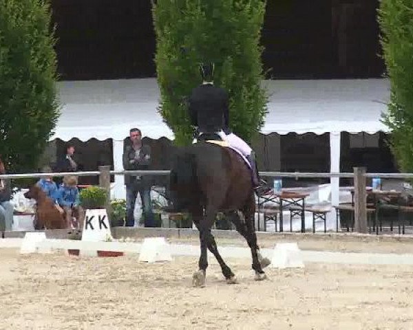 Dressurturnier Brunnthal-Riedhausen 2015