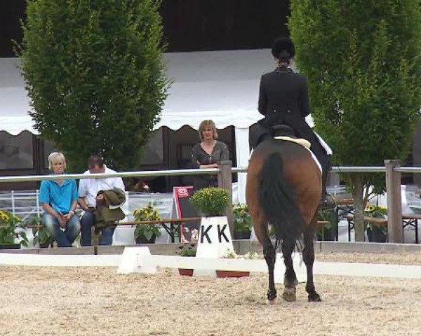 Dressurturnier Brunnthal-Riedhausen 2015