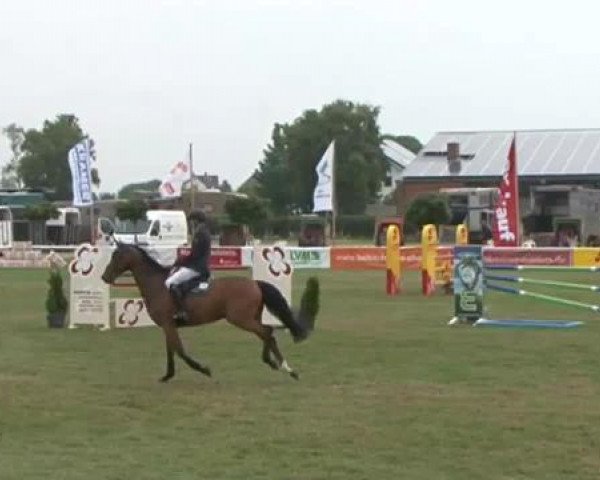 Fehmarn Pferdefestival 2015