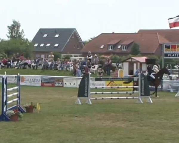 Fehmarn Pferdefestival 2015