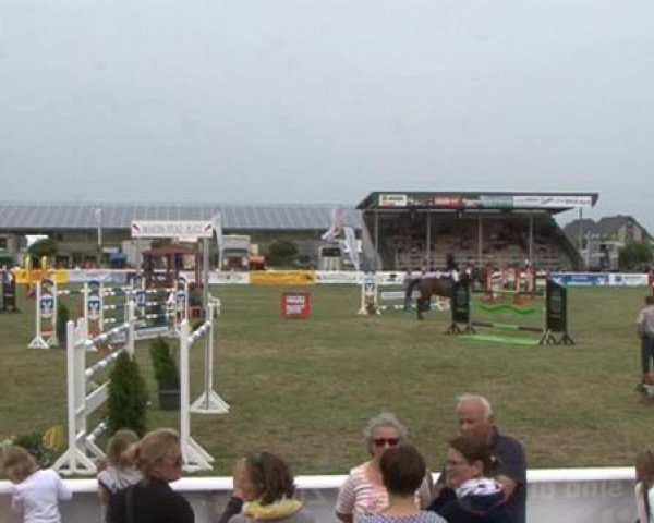 Fehmarn Pferdefestival 2015