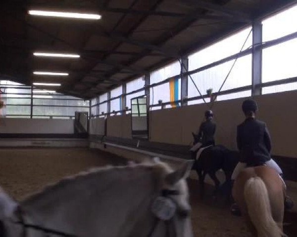 Reit-und Springturnier Dortmund West 2015