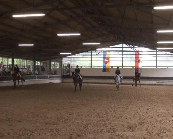 Reit-und Springturnier Dortmund West 2015