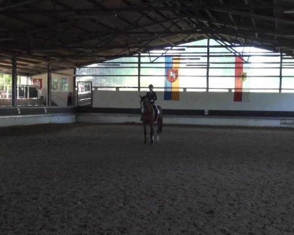 Reit-und Springturnier Dortmund West 2015