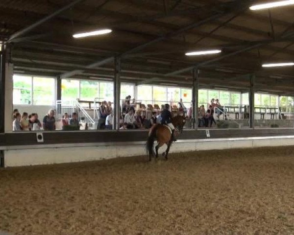Reit-und Springturnier Dortmund West 2015