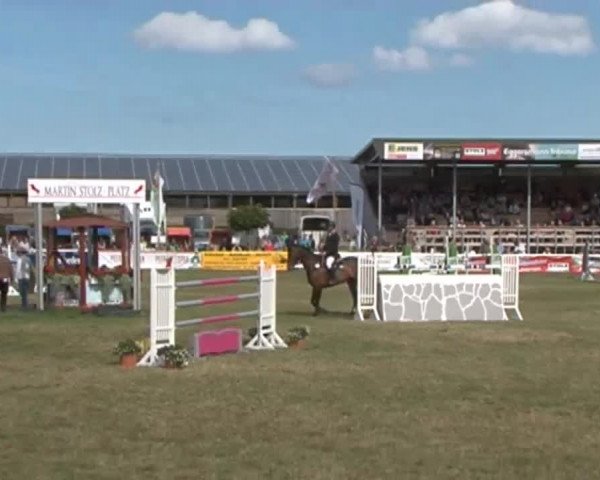 Fehmarn Pferdefestival 2015